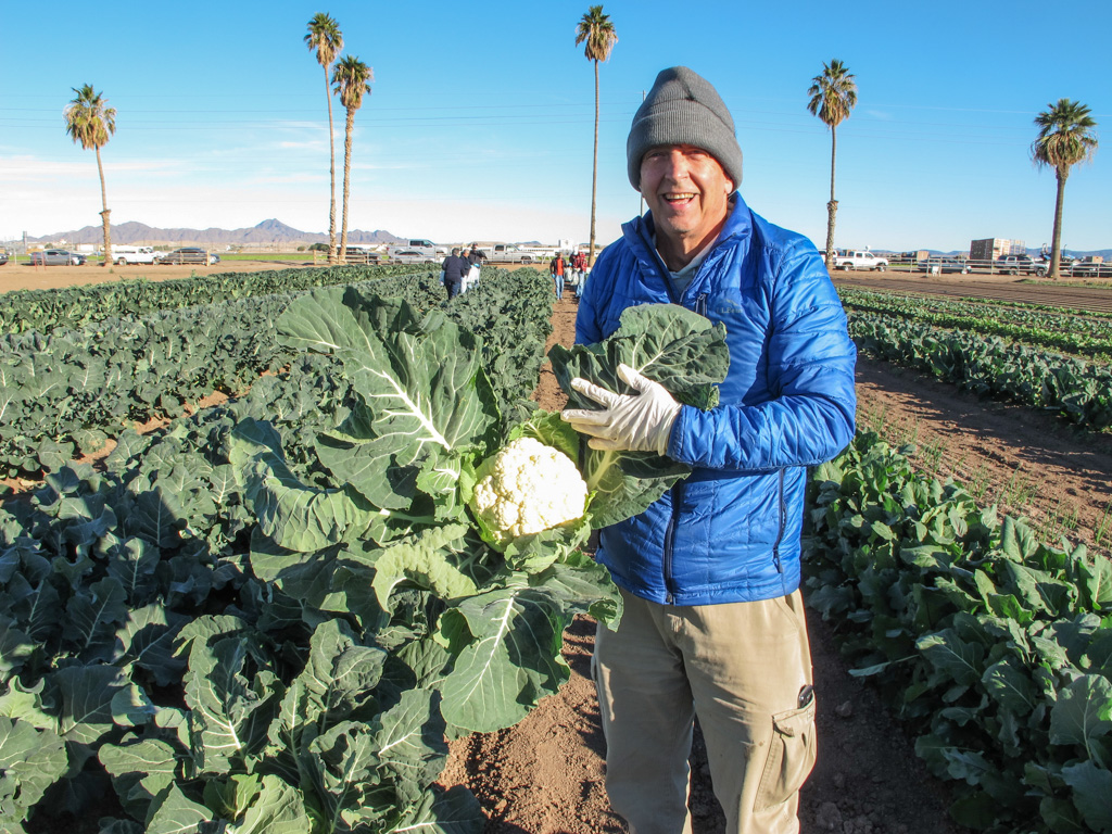 A Delicious “Field Trip” | Lobsters on the Loose